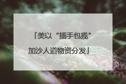美以“插手包揽”加沙人道物资分发