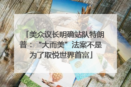 美众议长明确站队特朗普：“大而美”法案不是为了取悦世界首富