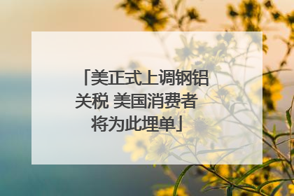 美正式上调钢铝关税 美国消费者将为此埋单