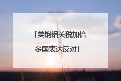 美钢铝关税加倍 多国表达反对