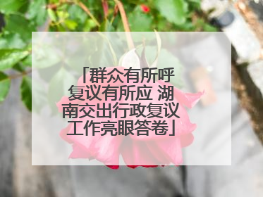 群众有所呼 复议有所应 湖南交出行政复议工作亮眼答卷