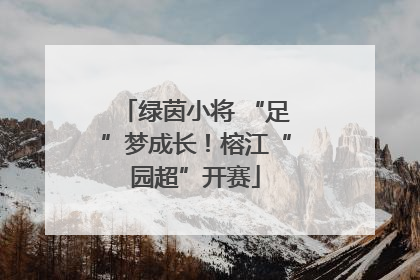 绿茵小将 “足”梦成长！榕江“园超”开赛