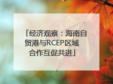 经济观察：海南自贸港与RCEP区域合作互促共进