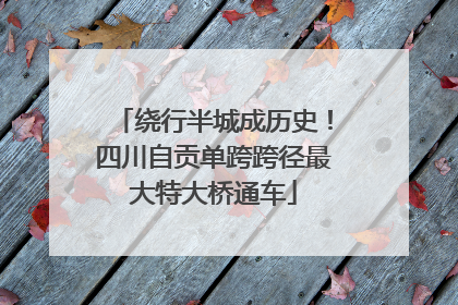 绕行半城成历史！四川自贡单跨跨径最大特大桥通车