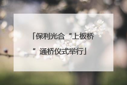保利光合“上板桥”通桥仪式举行