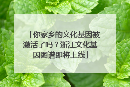 你家乡的文化基因被激活了吗？浙江文化基因图谱即将上线