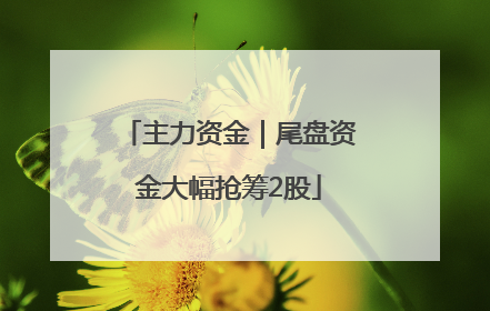 主力资金｜尾盘资金大幅抢筹2股
