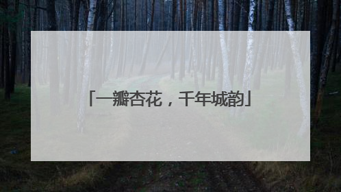 一瓣杏花，千年城韵