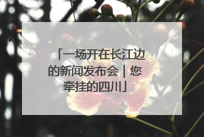 一场开在长江边的新闻发布会｜您牵挂的四川