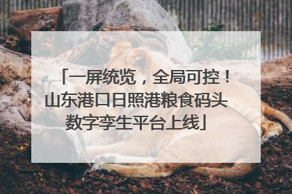 一屏统览，全局可控！山东港口日照港粮食码头数字孪生平台上线