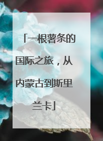 一根薯条的国际之旅，从内蒙古到斯里兰卡