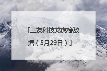 三友科技龙虎榜数据（5月29日）