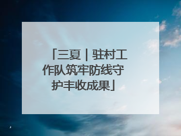 三夏｜驻村工作队筑牢防线守护丰收成果