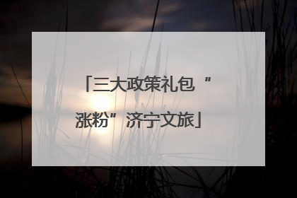 三大政策礼包“涨粉”济宁文旅