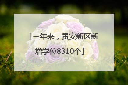 三年来，贵安新区新增学位8310个