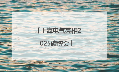 上海电气亮相2025碳博会