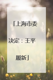 上海市委决定：王平履新