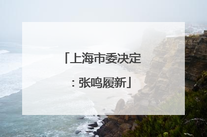 上海市委决定：张鸣履新
