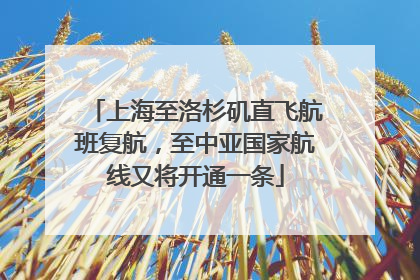 上海至洛杉矶直飞航班复航，至中亚国家航线又将开通一条