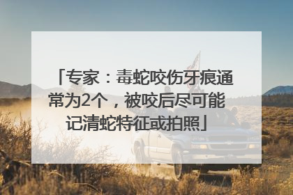 专家：毒蛇咬伤牙痕通常为2个，被咬后尽可能记清蛇特征或拍照