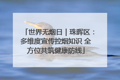 世界无烟日｜珠晖区：多维度宣传控烟知识 全方位共筑健康防线
