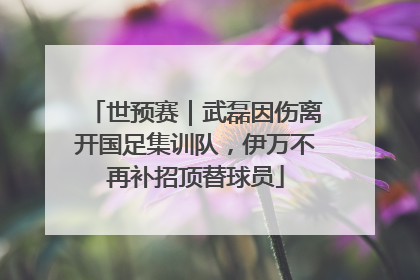 世预赛｜武磊因伤离开国足集训队，伊万不再补招顶替球员