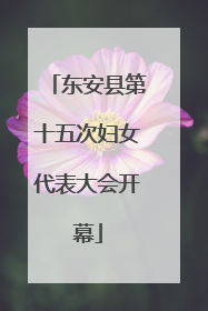 东安县第十五次妇女代表大会开幕