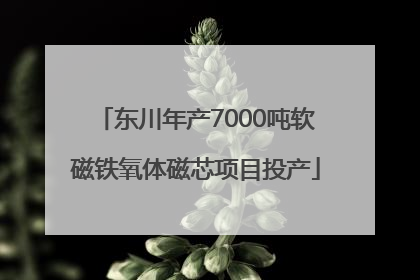 东川年产7000吨软磁铁氧体磁芯项目投产