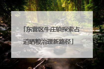东营区牛庄镇探索占道晒粮治理新路径
