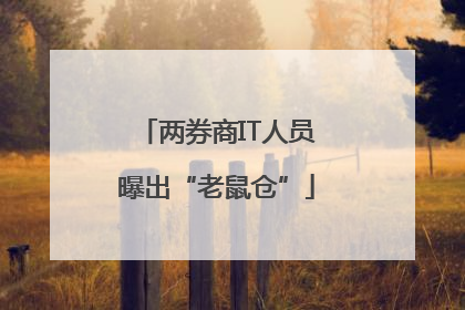 两券商IT人员曝出“老鼠仓”
