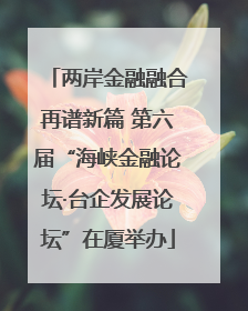 两岸金融融合再谱新篇 第六届“海峡金融论坛·台企发展论坛”在厦举办