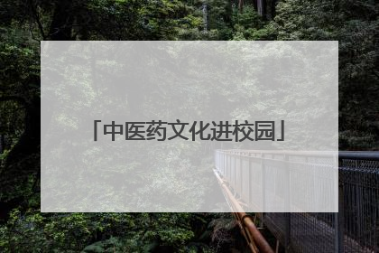 中医药文化进校园