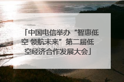 中国电信举办“智惠低空 领航未来”第二届低空经济合作发展大会