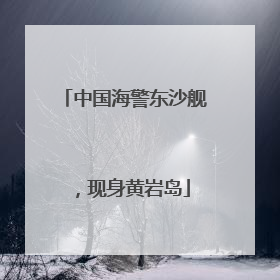 中国海警东沙舰，现身黄岩岛
