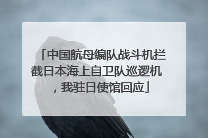 中国航母编队战斗机拦截日本海上自卫队巡逻机，我驻日使馆回应