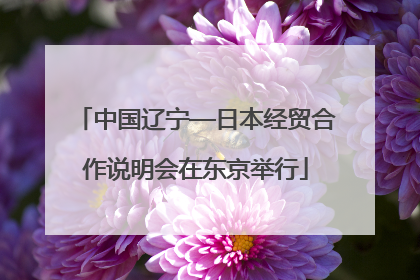 中国辽宁—日本经贸合作说明会在东京举行