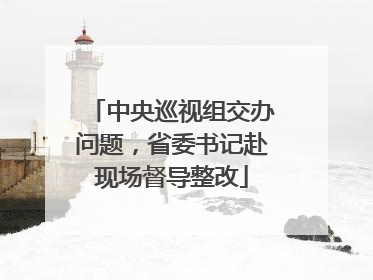 中央巡视组交办问题，省委书记赴现场督导整改