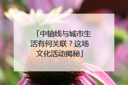 中轴线与城市生活有何关联？这场文化活动揭秘