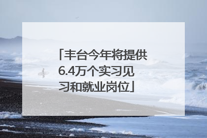 丰台今年将提供6.4万个实习见习和就业岗位