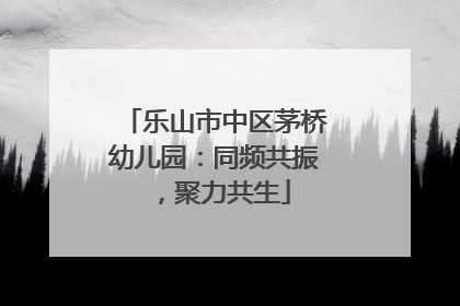 乐山市中区茅桥幼儿园：同频共振，聚力共生