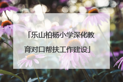 乐山柏杨小学深化教育对口帮扶工作建设