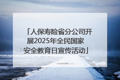 人保寿险省分公司开展2025年全民国家安全教育日宣传活动