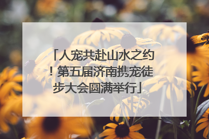 人宠共赴山水之约！第五届济南携宠徒步大会圆满举行