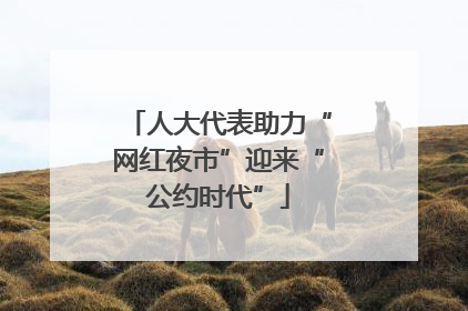人大代表助力“网红夜市”迎来“公约时代”