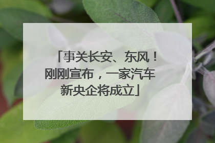 事关长安、东风！刚刚宣布，一家汽车新央企将成立