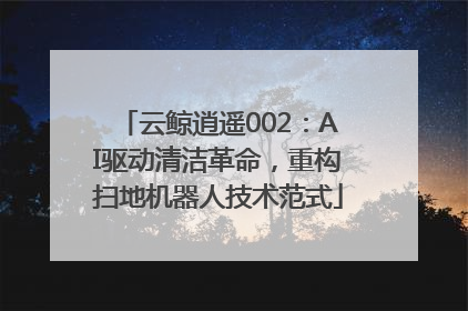 云鲸逍遥002：AI驱动清洁革命，重构扫地机器人技术范式