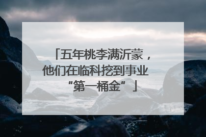 五年桃李满沂蒙，他们在临科挖到事业“第一桶金”