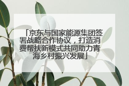 京东与国家能源集团签署战略合作协议，打造消费帮扶新模式共同助力青海乡村振兴发展