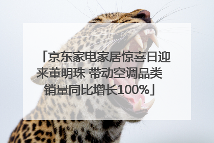 京东家电家居惊喜日迎来董明珠 带动空调品类销量同比增长100%