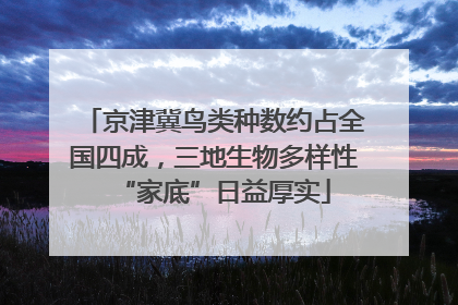 京津冀鸟类种数约占全国四成，三地生物多样性“家底”日益厚实